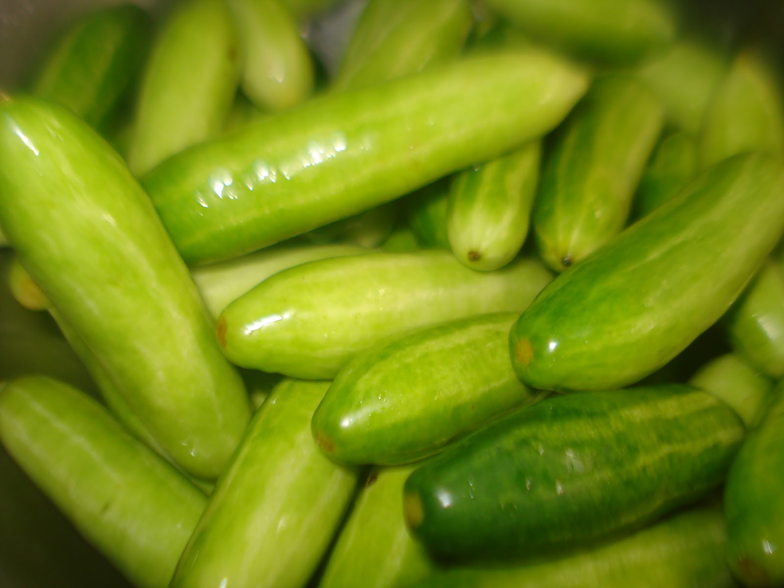 Jay's Veg Kitchen IVY GOURD FRY/ TENDLE TALASANI