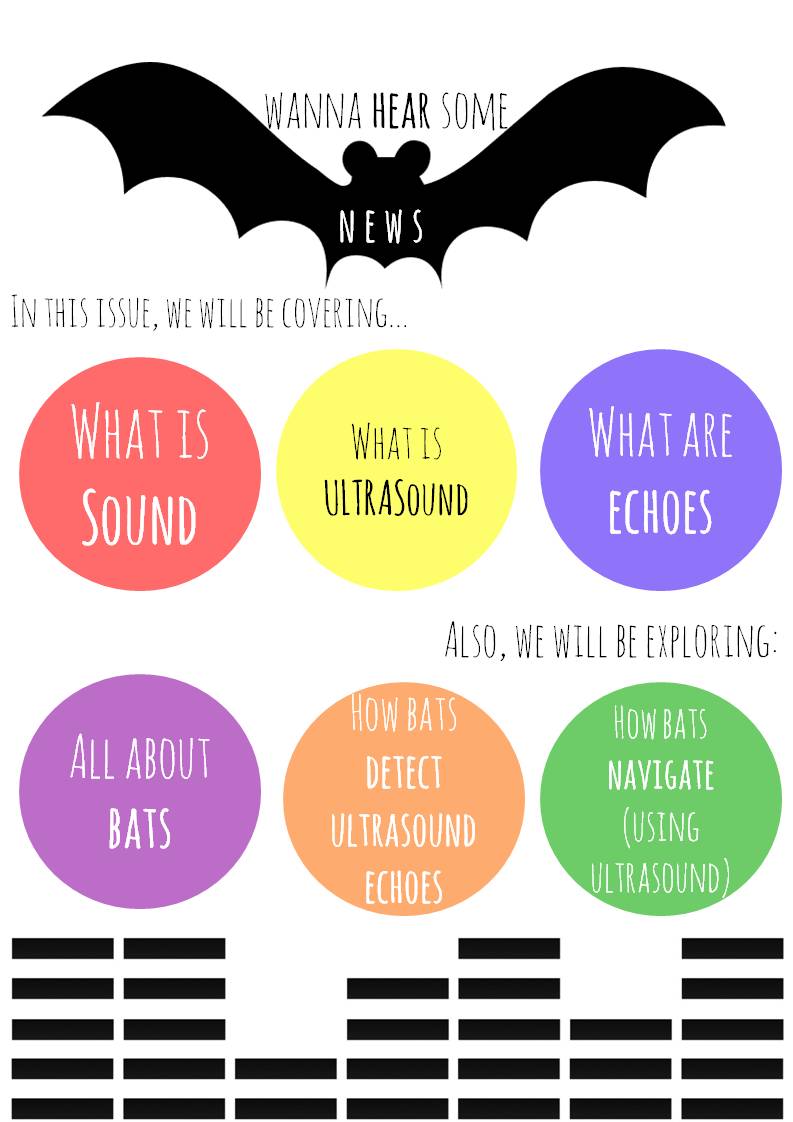How do bats use ultrasound to navigate? Bat News MAGAZINE!