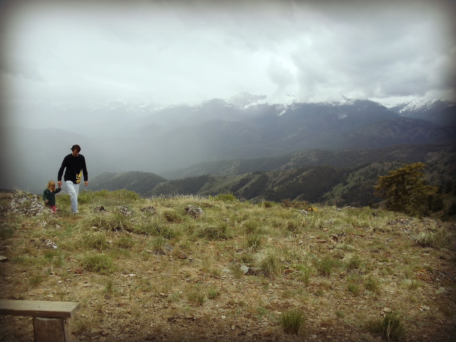 Marblemount Homestead Best kidfriendly hikes and bike rides in the