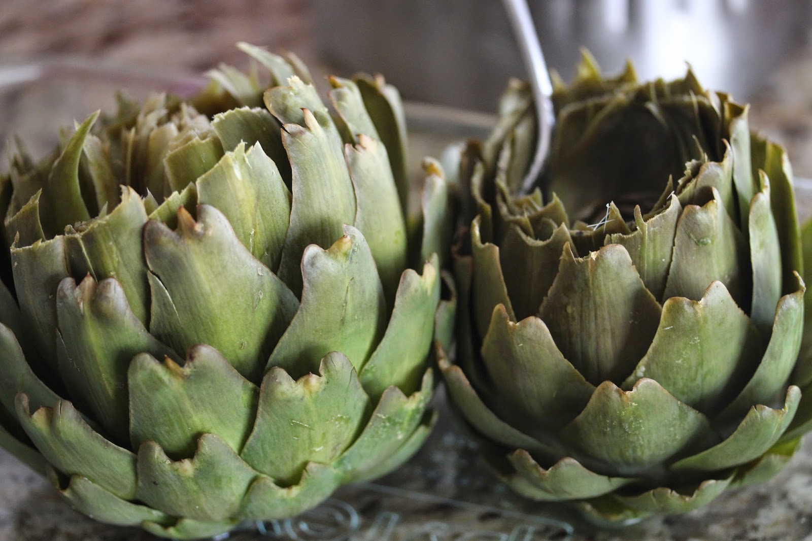 Rooted In Thyme Harvesting Artichokes In The Garden and Simple