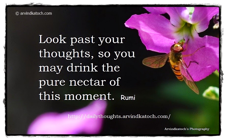 Look past your thoughts (Daily Quote by Rumi)