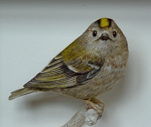 06-Goldcrest-Johan-Scherft-Living-Paper-Birds-Sculptures-Watercolours-www-designstack-co