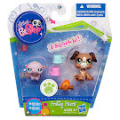 Littlest Pet Shop Pet Pairs Boxer (#2351) Pet