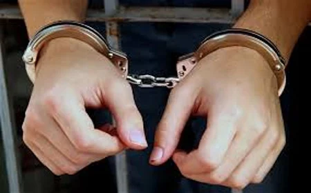 Man Arrested For Cheating, Marriage, Police, Case, News, Idukki, Iran, Complaint, Court, Remanded, Kerala.