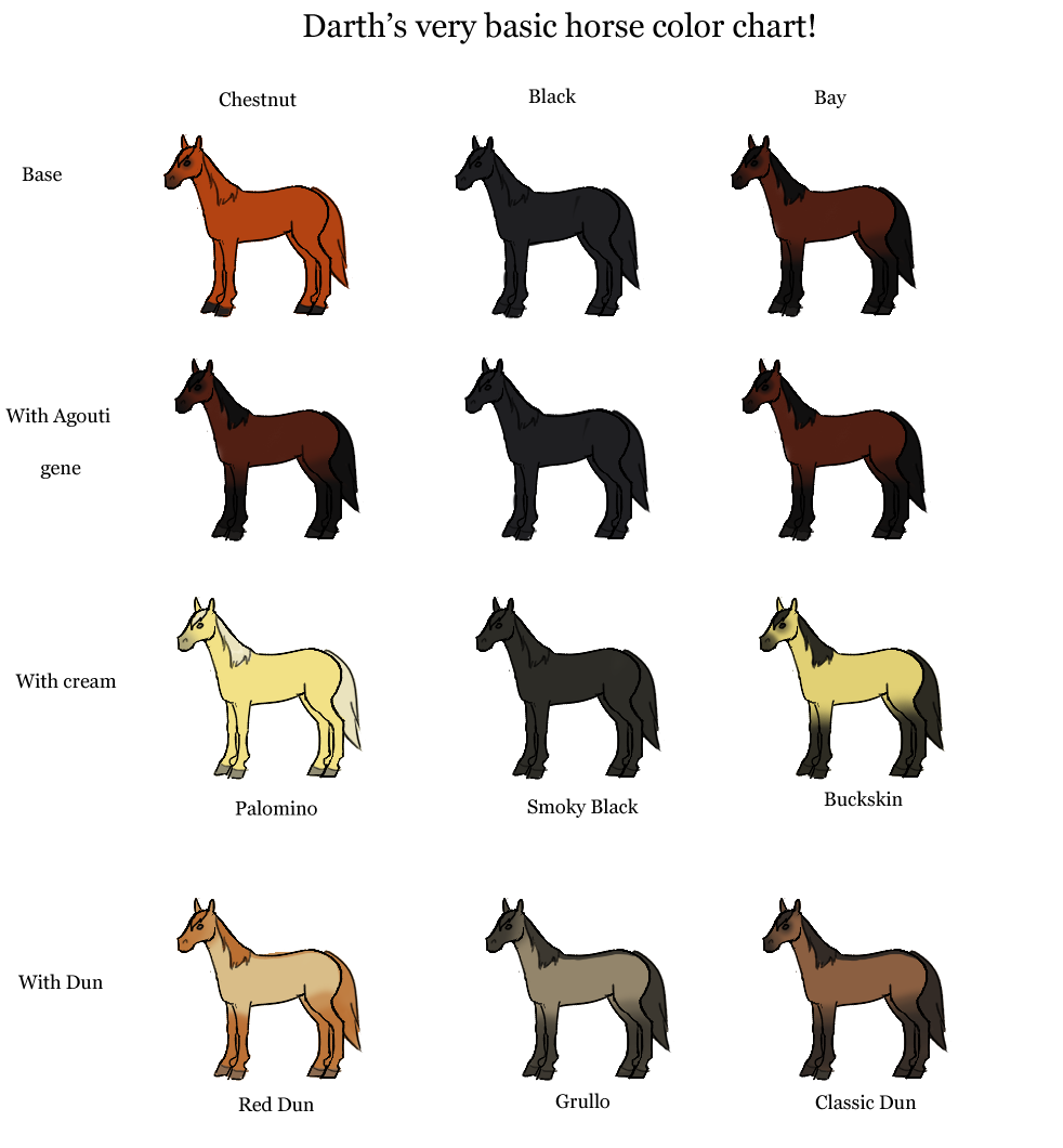 The Jorvik Report: Horse color chart
