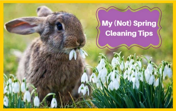50 Shades Of Mess: My (Not) Spring Cleaning Tips