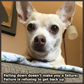 falling down doesn't make you a failure; failure is refusing to get back up