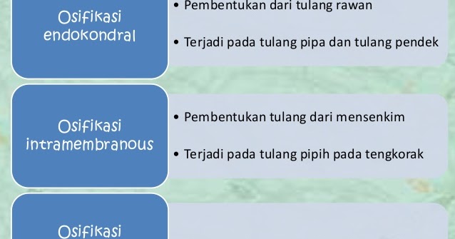 Proses Pembentukan Tulang Pada Manusia Proses Osifikasi Biologi Edukasi Belajar Sains Biologi
