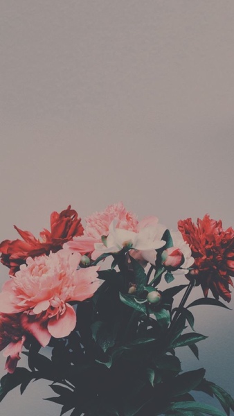 "Mê tít" bộ hình nền hoa tuyệt đẹp cho điện thoại