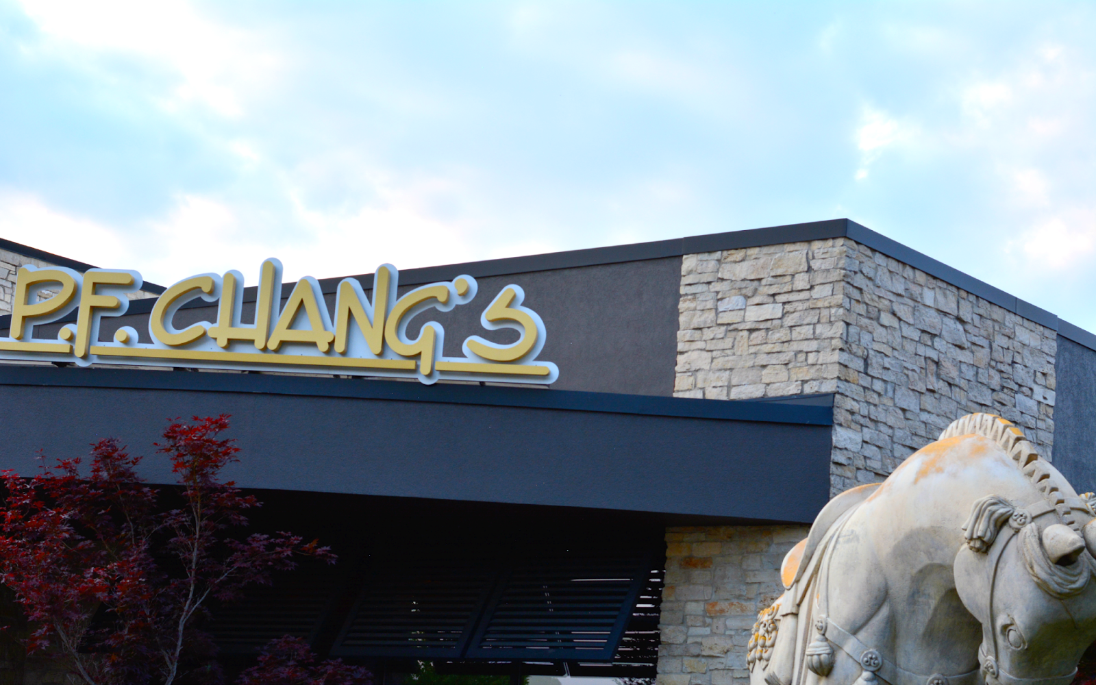 p.f. chang's in northbrook illinois chicago