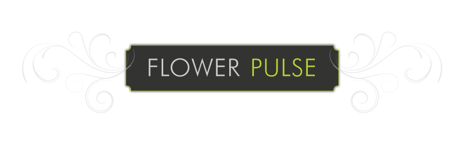 Flower Pulse
