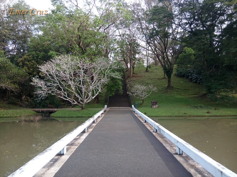 Japanese Garden (Laguna)