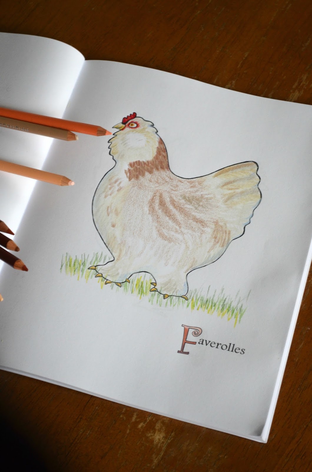 Iron Oak Farm: Chickens! Illustrated Chicken Breeds A to Z Coloring ...