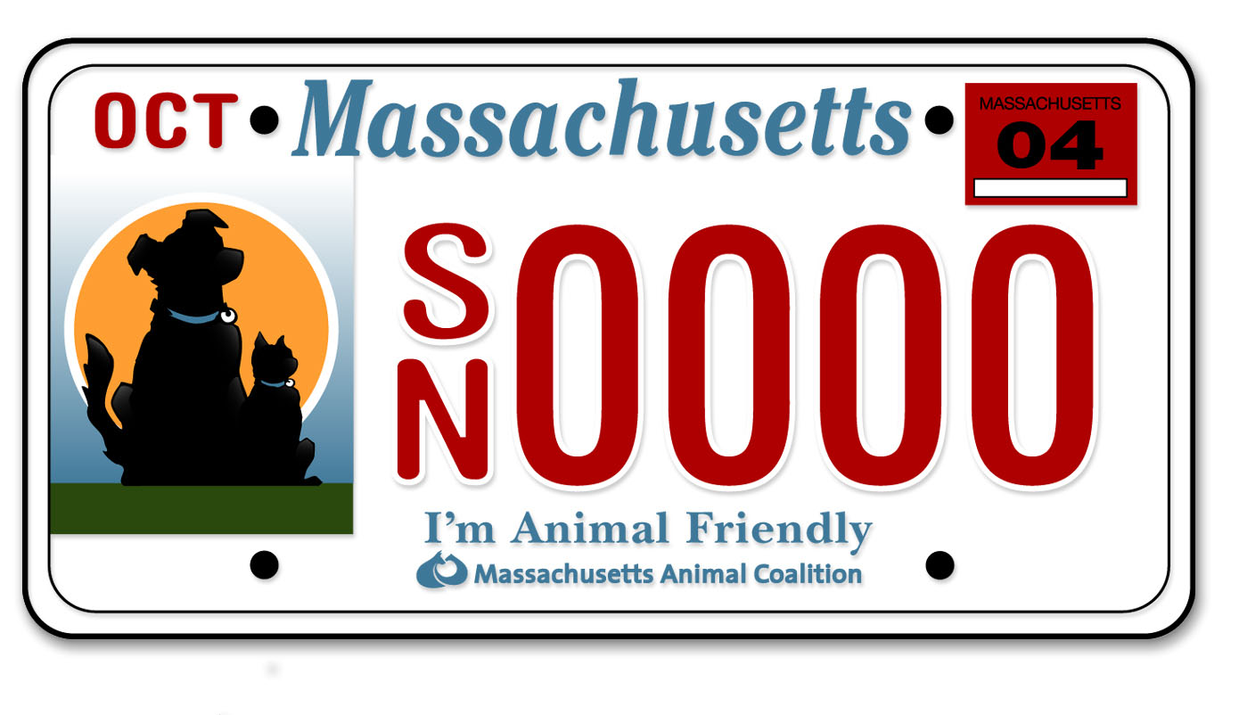 Medfield Animal Shelter News