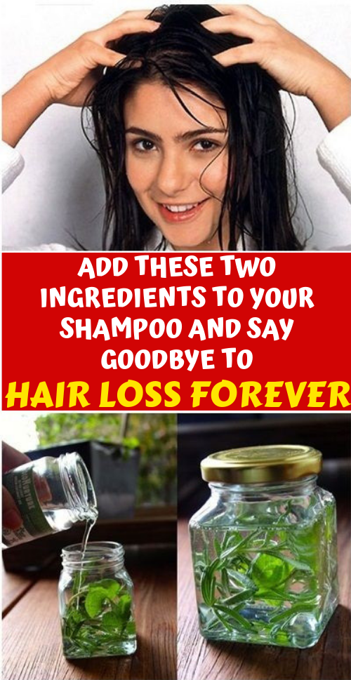 Let Start Slim Today Add These Two Ingredients in Your Shampoo to Prevent Hair Loss