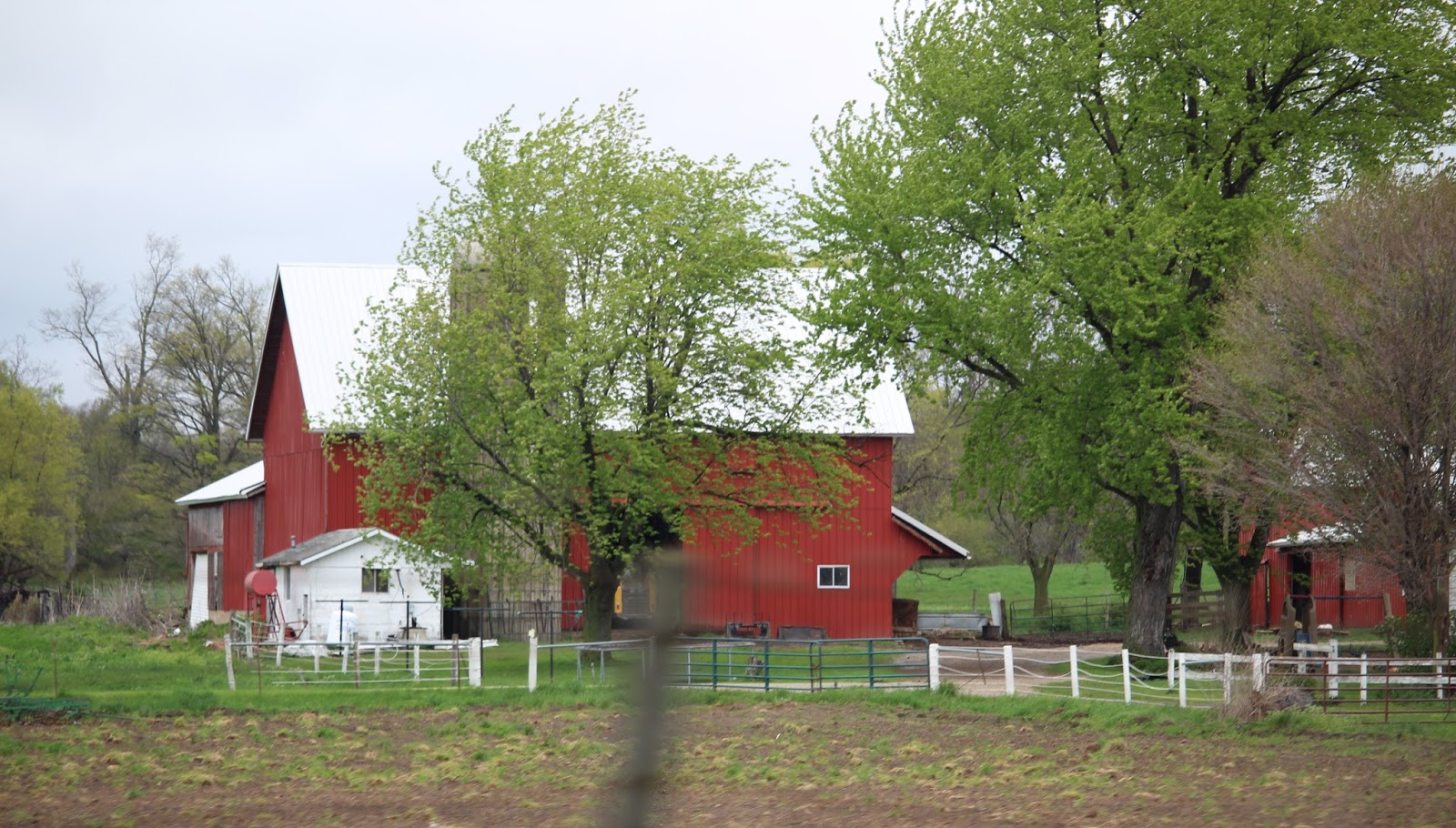 A Study on Amish Farms Beauty Without Within F