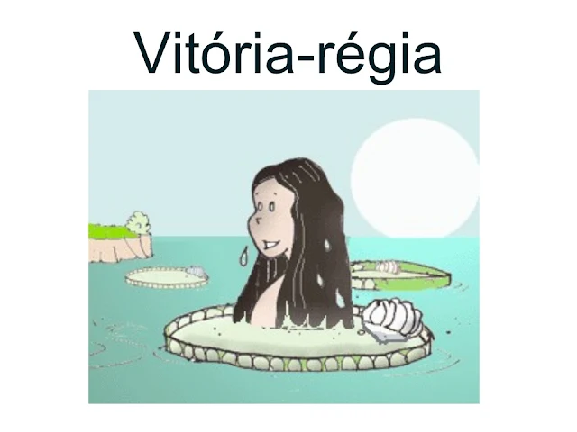 Vitória-régia