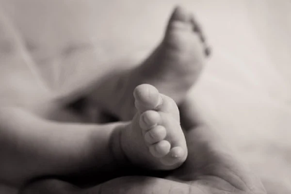  Born baby, Idukki, Dead Body, Baby, News, Kerala, New born baby's dead body found at drainage 