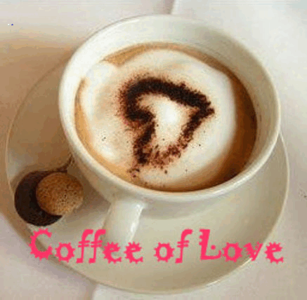 coffee in love ปาย movie