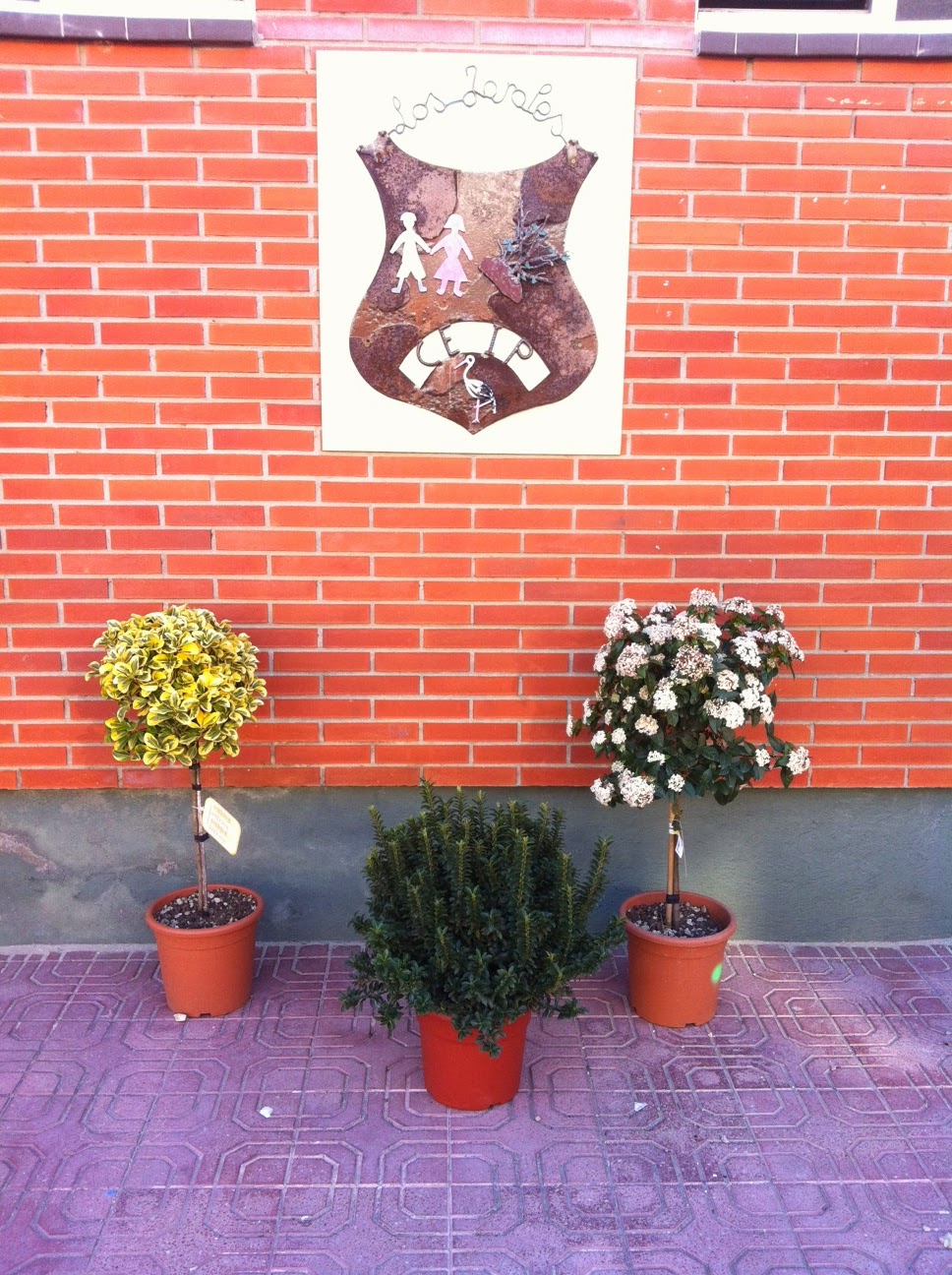 APA Los Jarales Los Jarales afronta el proceso de escolarización