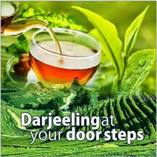 Darjeeling tea benefits Healthy Tea 101