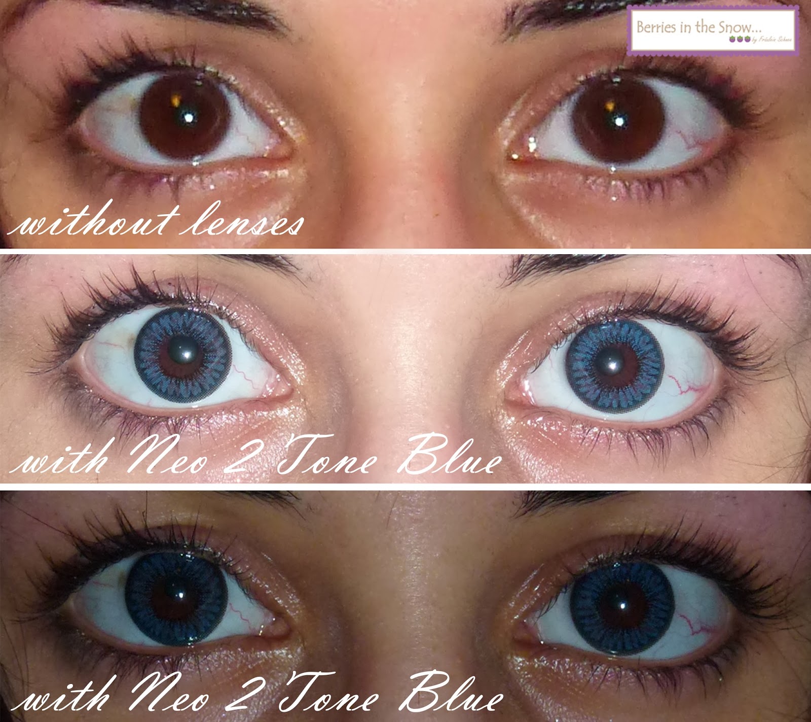 Nfl Ticket Exchange Ravens Prescription Colored Contacts For Dark Eyes