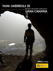 Fauna cavernícola de Gran Canaria