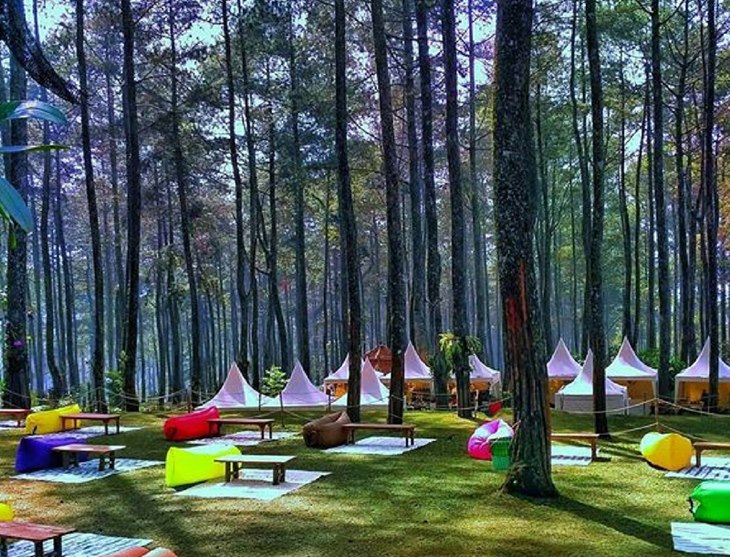 Tempat Wisata Camping Di Lembang