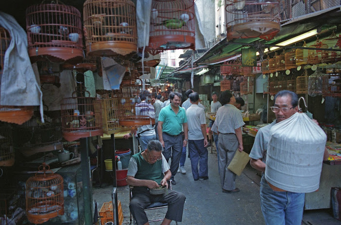 Canton, Guanzhou, marché Tiyun Lu, © L. Gigout, 1990