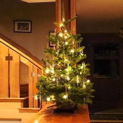 Beautiful Christmas Tree For Your Home Beautiful Christmas Tree For Your Home