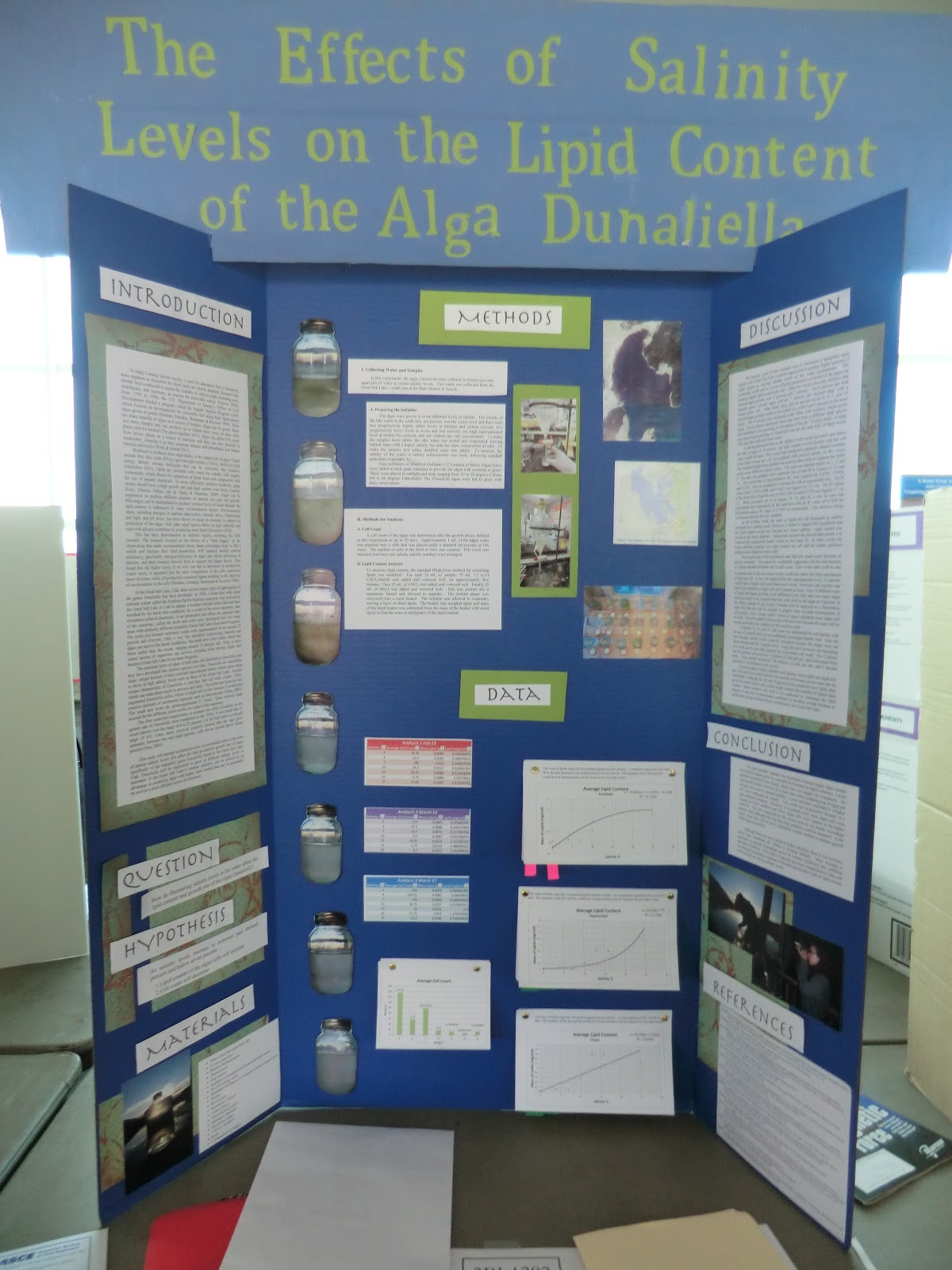 Married With Bikes 2012 Science Fair Judging