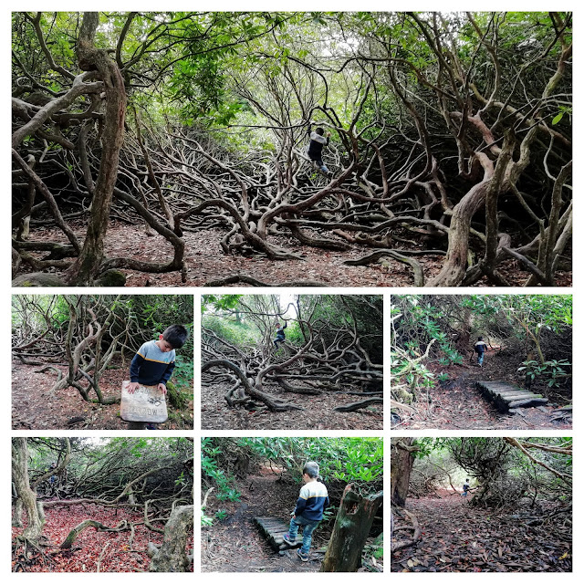 Longshaw Estate walks