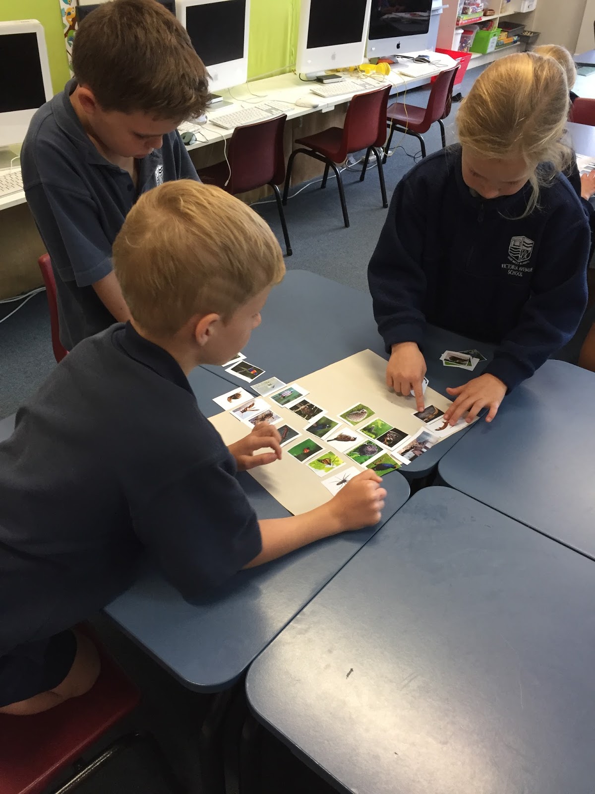 Room 18 2018 Working Together To Sort And Classify Living Things 