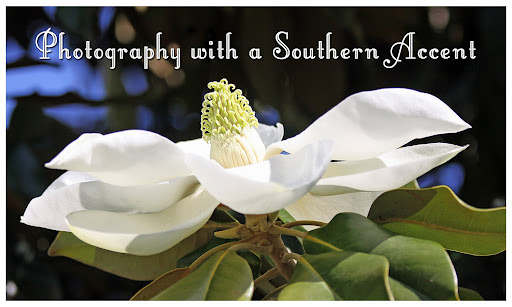Photography with a Southern Accent