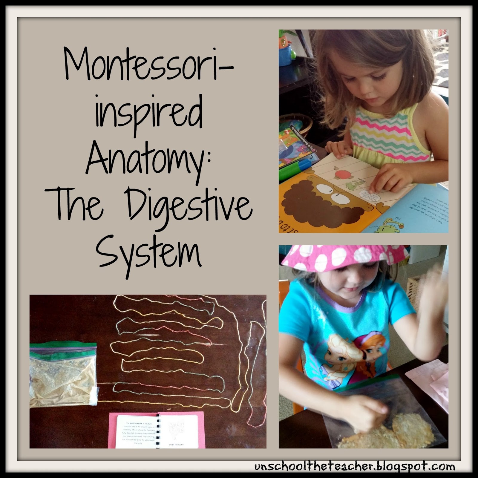 Unschool the Teacher: The Digestive System for Kids