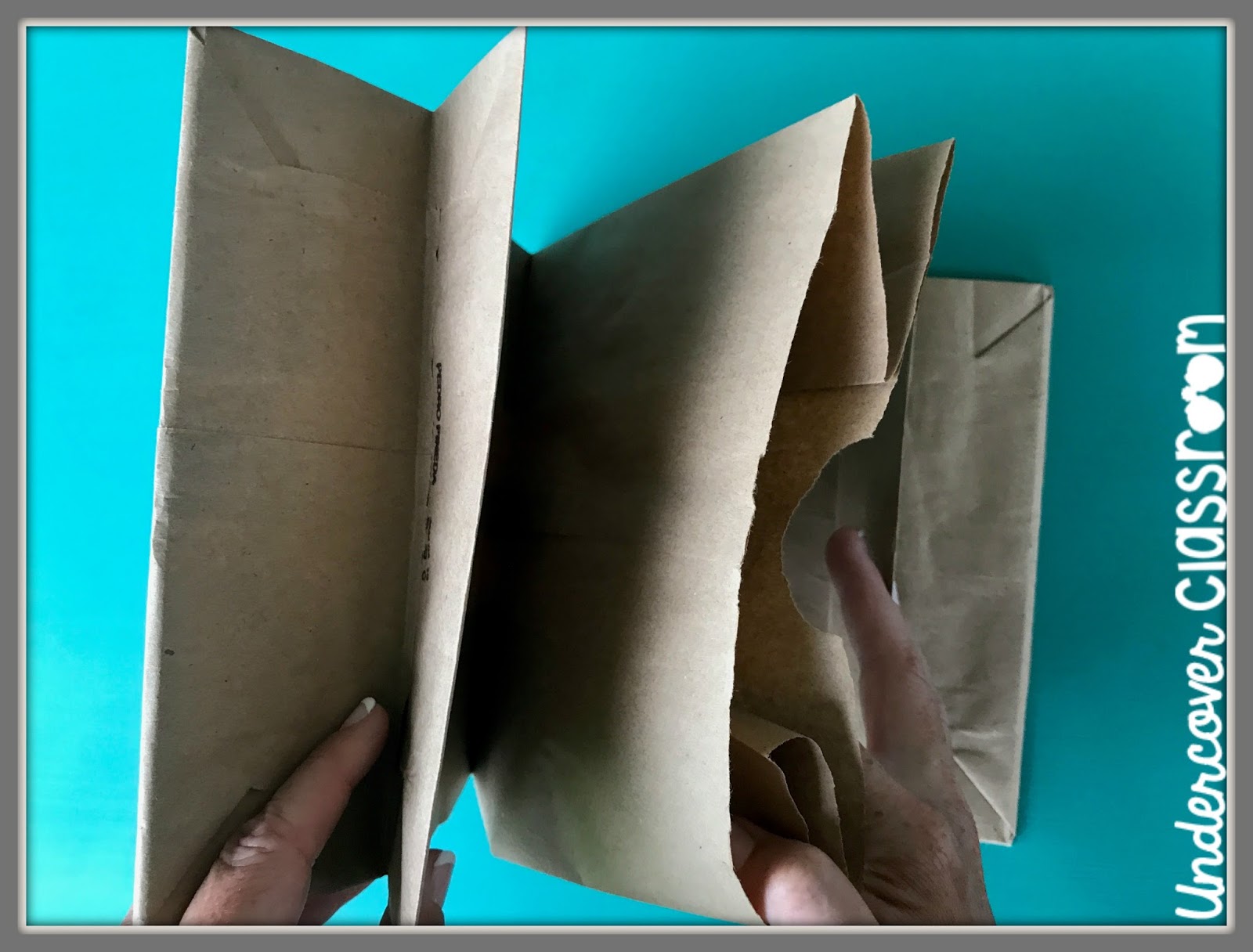 Undercover Classroom: Paper Bag Books