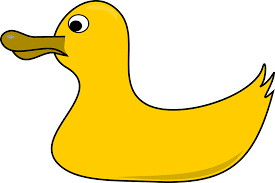 10 lines Duck in Hindi
