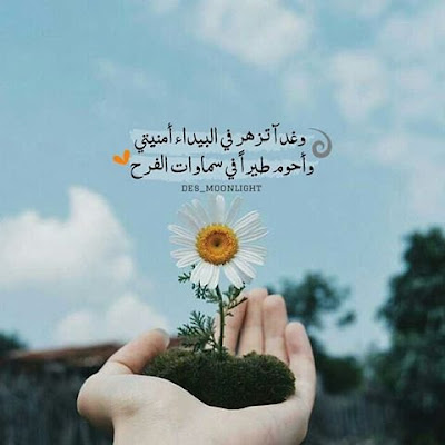 صور جميلة