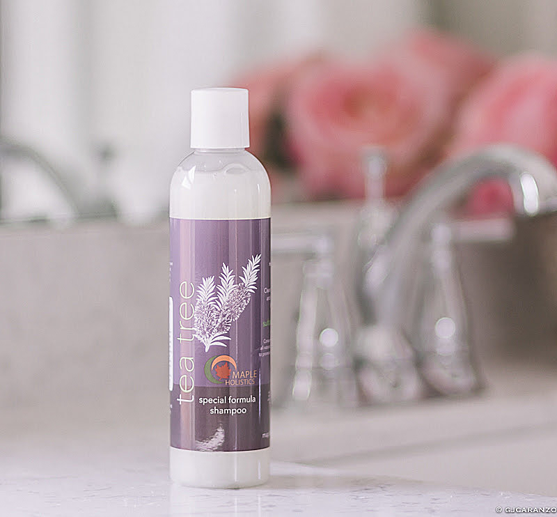 Maple Holistics Tea Tree Oil Shampoo Product Review