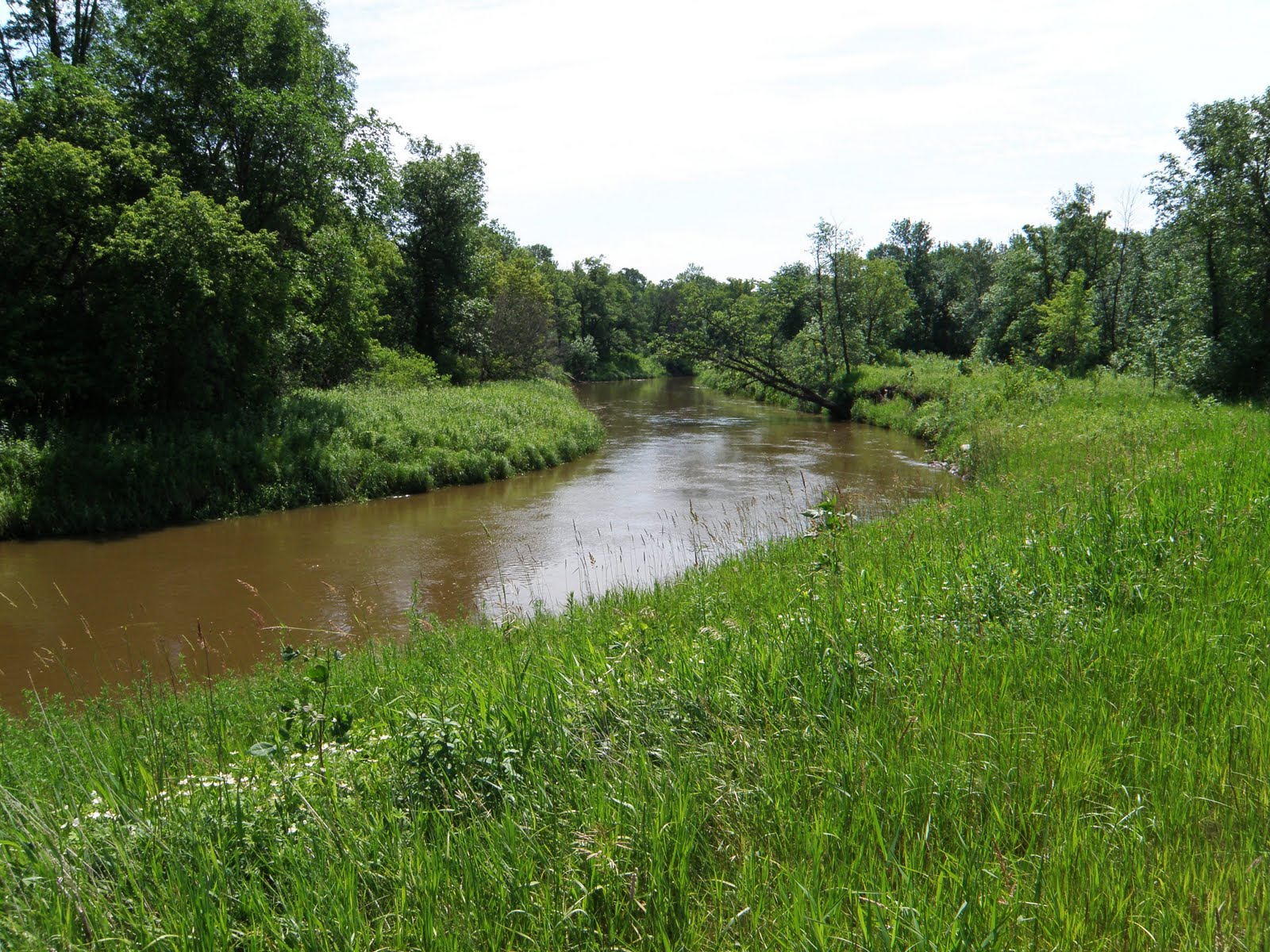 The Red River Oxcart Trail The Pembina/Woods Trail The Pembina Trail