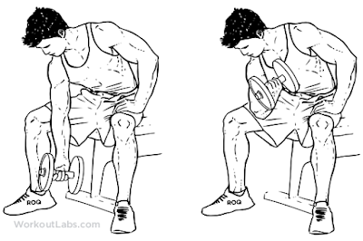 Cara Memperbesar Otot Lengan di rumah dan gym dengan cepat