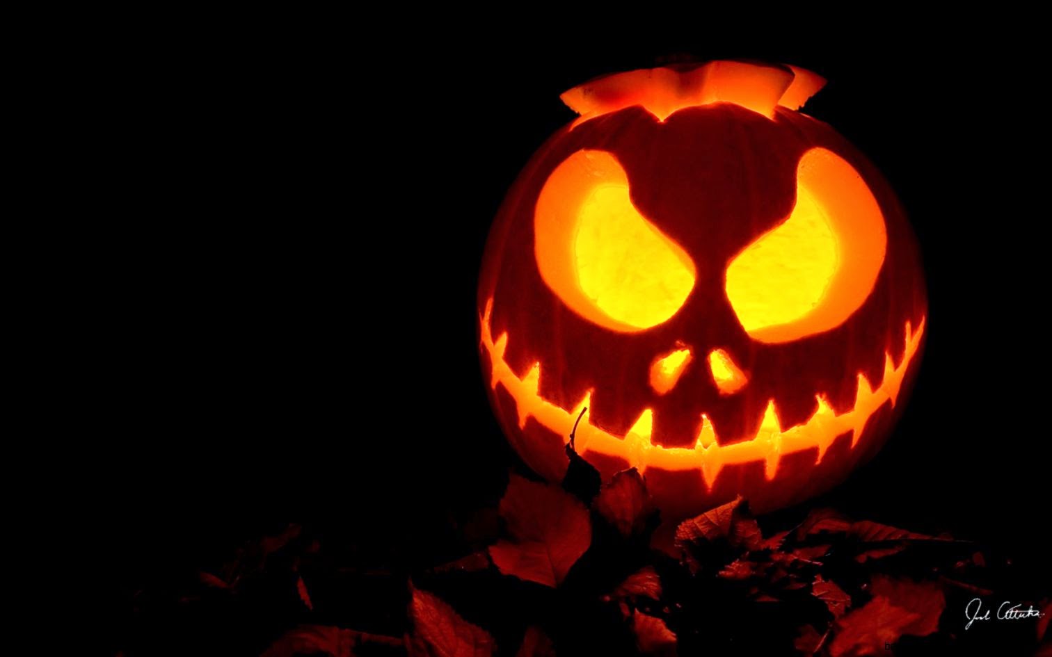 Jack O Lattern Wallpaper HD 12136 Wallpaper  AWS HD Wallpapers