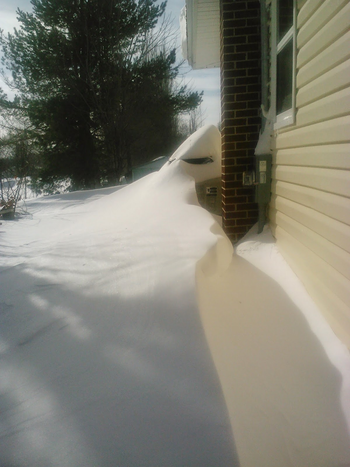 How much snow did we get?