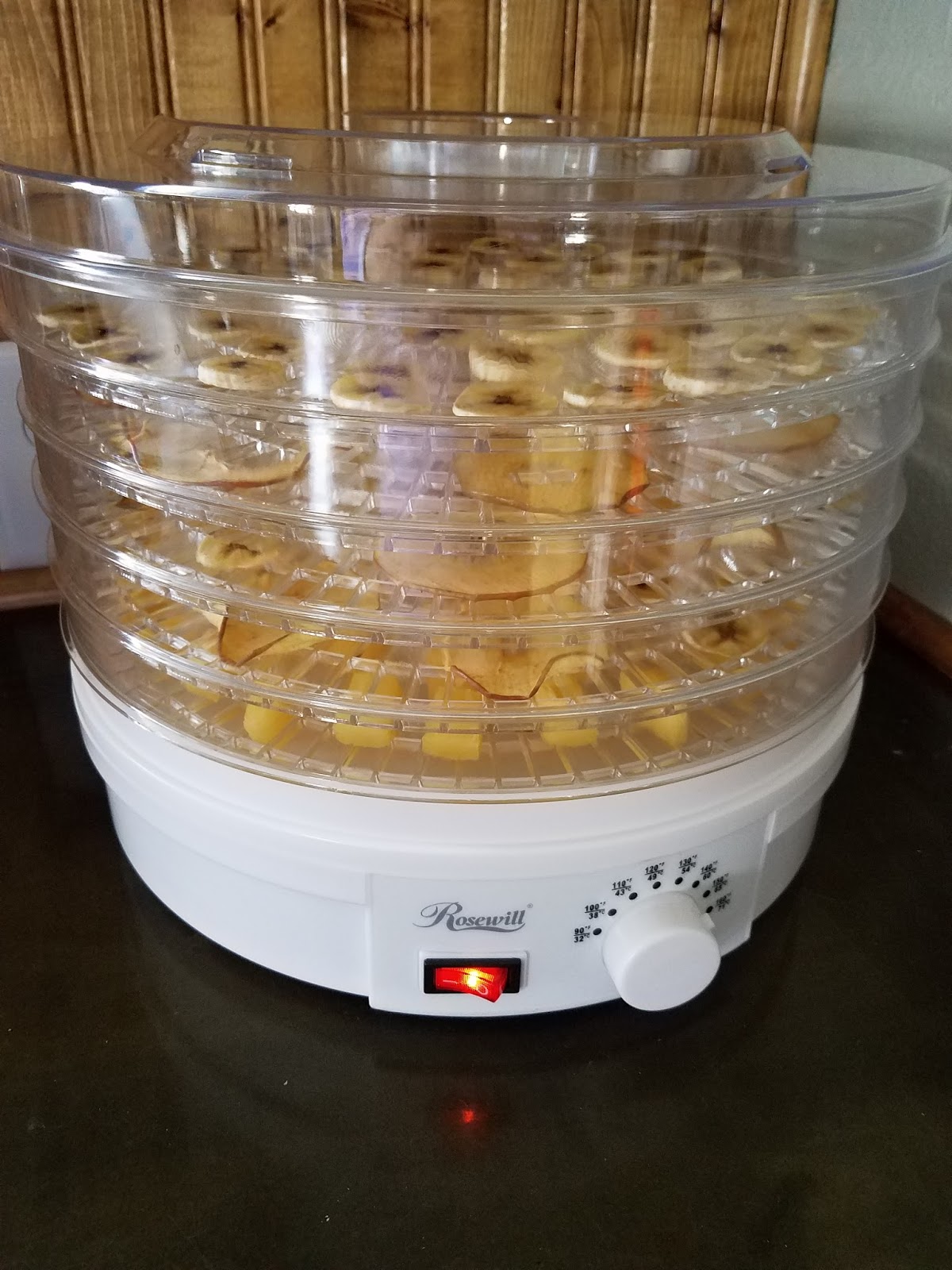 The ABCD Diaries Eat Healthy This Spring with an Electric Food