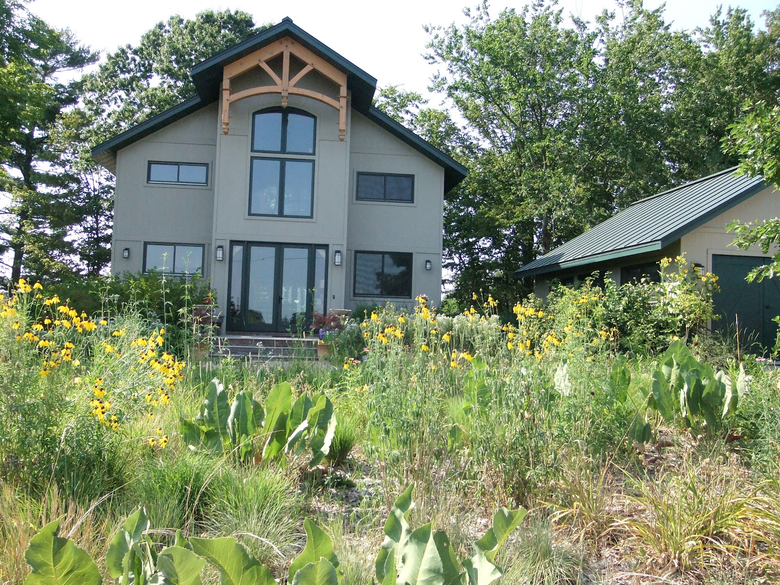 All Prairie Lake Redstone House Landscaping, Early Summer, Year Three