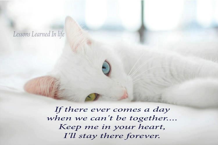 Quotes & Inspiration If there ever