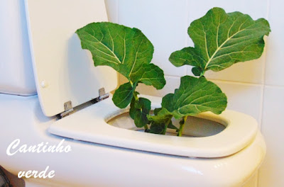 Urina usada como fertilizante na agricultura