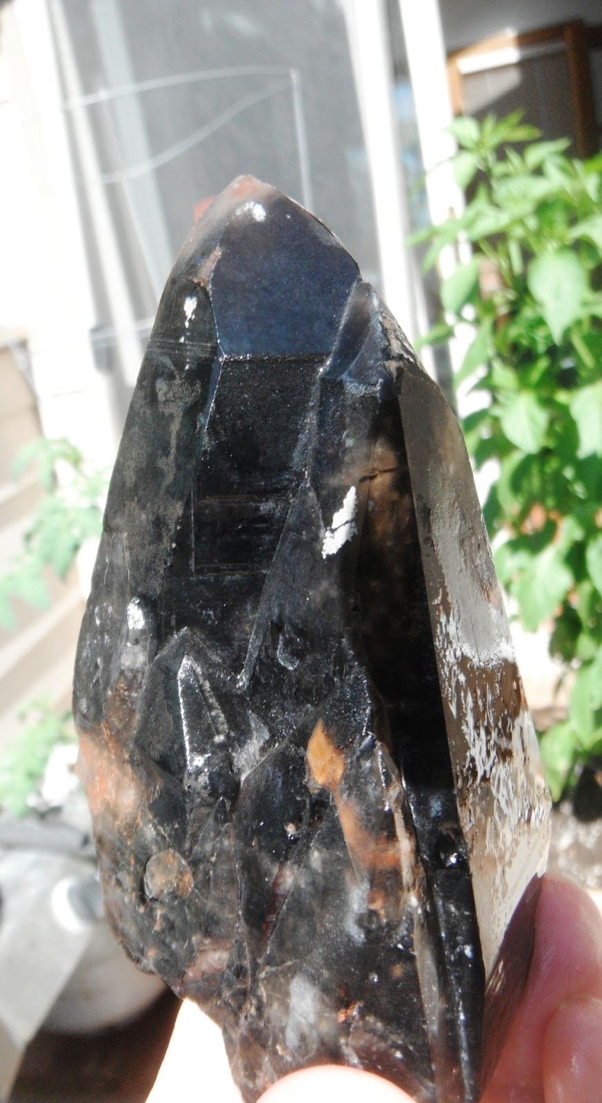 Rockhounding the Rockies Quartz Float