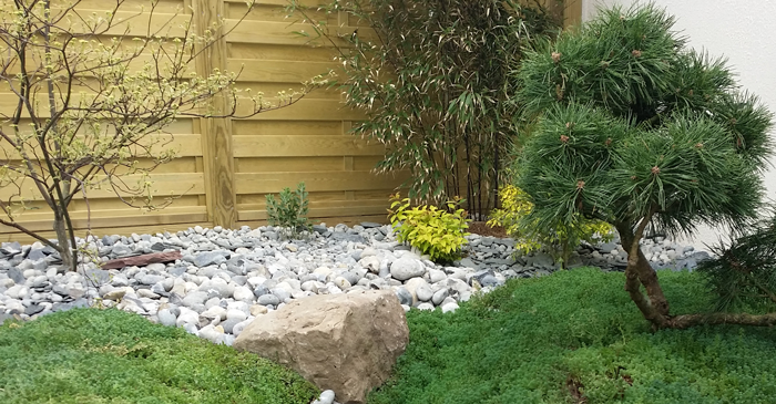 Petit Jardin Sans Entretien Panneaux Bois Dans Petit Jardin