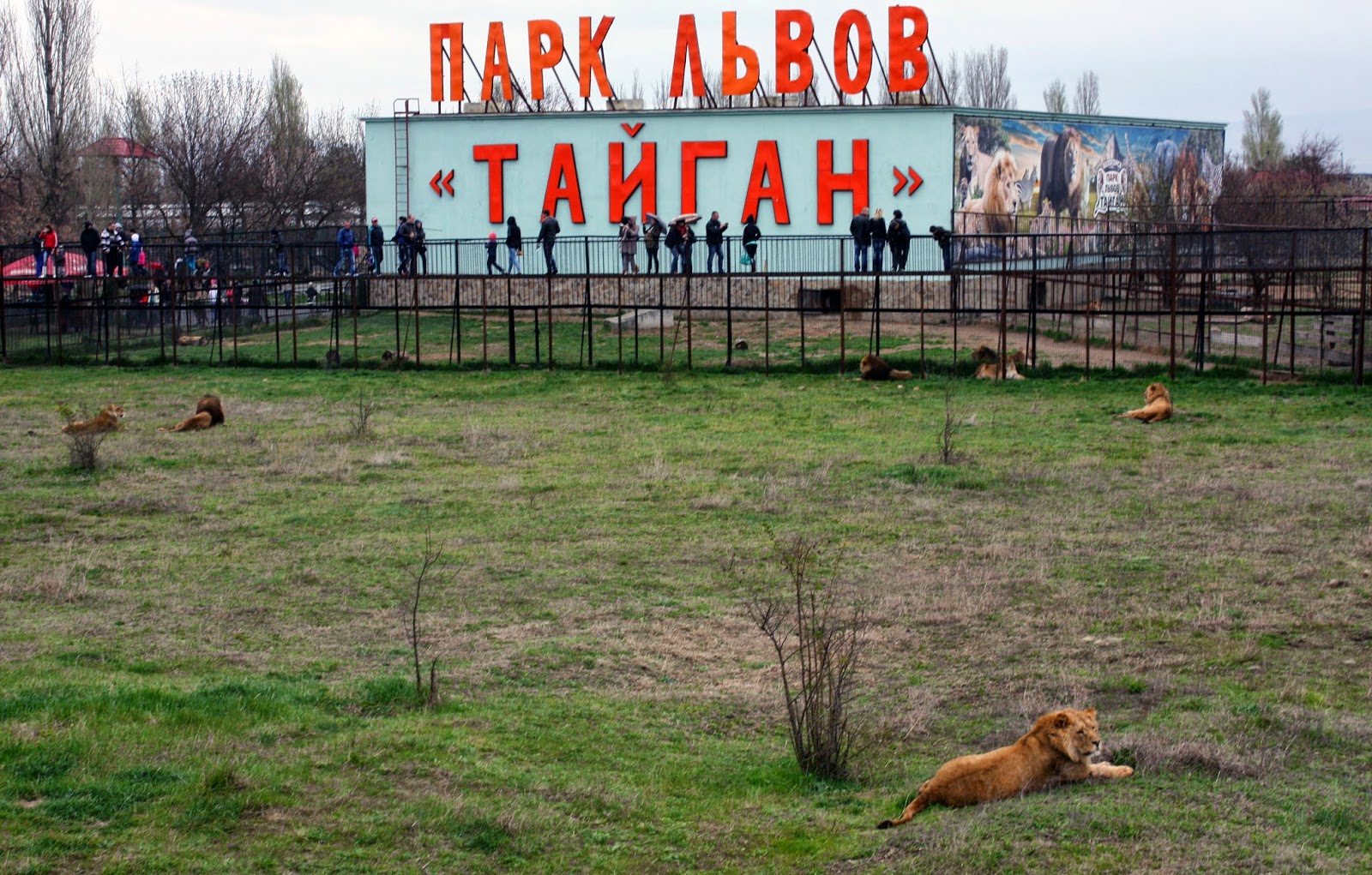 Парк Львов Тайган карта